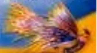 Masal Kuşu-Onbir Öykü Kitabı