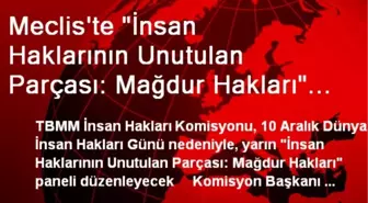 Meclis'te İnsan Hakları Paneli Düzenlenecek