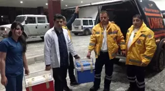 Arazi Tipi Ambulansla Erzurum'a Ulaştırılan Organlar 3 Kişiye Umut Oldu