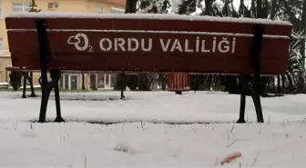 Ordu'da 479 Köyün 402'si Ulaşıma Kapalı
