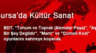 Bursa'da Kültür Sanat