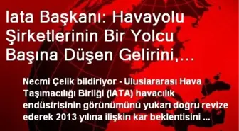 Iata Başkanı: Havayolu Şirketlerinin Bir Yolcu Başına Düşen Gelirini, Mcdonald's Sadece Dört...