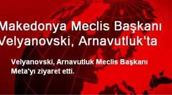 Makedonya Meclis Başkanı Velyanovski, Arnavutluk'ta