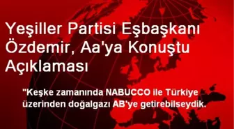 Yeşiller Partisi Eşbaşkanı Özdemir, Aa'ya Konuştu Açıklaması