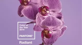 Pantone 2014'ün Rengini Açıkladı: Işıltılı Orkide