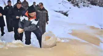 Ordu'da Aç Yaban Hayvanları İçin Doğaya Yem Bırakıldı