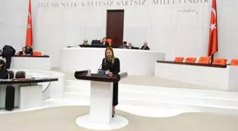 AK Parti Gaziantep Milletvekili Bakbak TBMM'de Konuştu