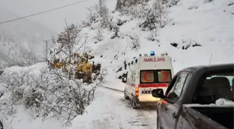 Gümüşhane'de 77 Yaşındaki Hastaya Ulaşmaya Çalışan İl Özel İdaresi ve 112 Ekibinin Zorlu Mücadelesi