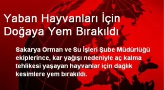 Yaban Hayvanları İçin Doğaya Yem Bırakıldı