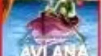 Avlana Kitabı