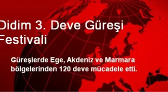 Didim 3. Deve Güreşi Festivali