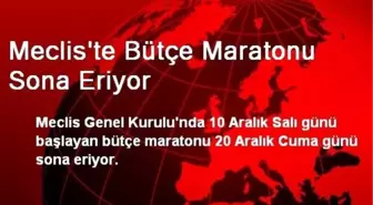 Meclis'te Bütçe Maratonu Sona Eriyor