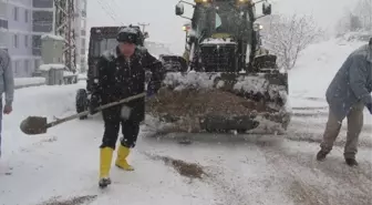 Gölpazarı Belediyesinden, Kar Temizleme Çalışması
