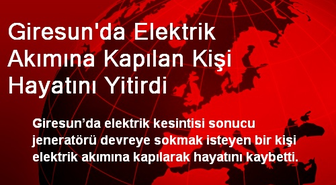 Giresun'da Elektrik Akımına Kapılan Kişi Hayatını Yitirdi
