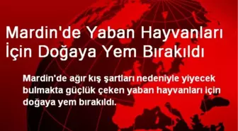 Mardin'de Yaban Hayvanları İçin Doğaya Yem Bırakıldı