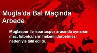 Muğla'da Bal Maçında Arbede