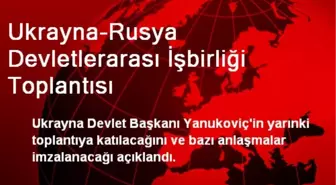 Ukrayna-Rusya Devletlerarası İşbirliği Toplantısı