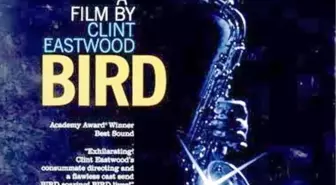 Bird Filmi