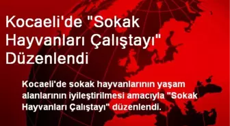 Kocaeli'de 'Sokak Hayvanları Çalıştayı' Düzenlendi