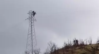 Hakkari, Karadenizli Elektrik İşçilerinin Gözdesi Oldu