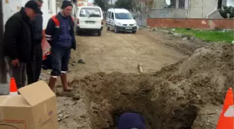 Burhaniye Belediyesi Aralıksız Çalışıyor