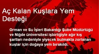 Aç Kalan Kuşlara Yem Desteği