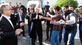 Sinop'ta Hamsi Şenliği