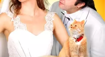 Kedi Özledi Filmi