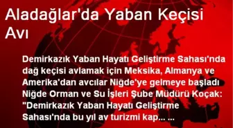 Aladağlar'da Yaban Keçisi Avı