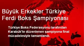 Büyük Erkekler Türkiye Ferdi Boks Şampiyonası