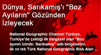 Dünya, Sarıkamış'ı 'Boz Ayıların' Gözünden İzleyecek