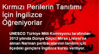 Kırmızı Perilerin Tanıtımı İçin İngilizce Öğreniyorlar