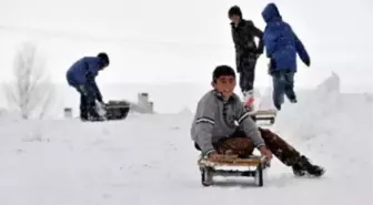 Frenli, Direksiyonlu Kar Kızağı