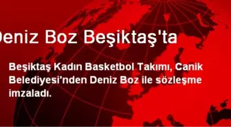 Deniz Boz Beşiktaş'ta