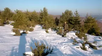 Zonguldak'ta Yılbaşı Çamı Nöbeti