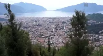 Avcılar 'vurmak', çevreciler 'uzaklaştırmak' istiyor -