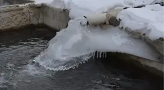 Muş'ta Dondurucu Soğuklar