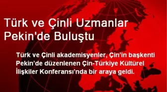 Türk ve Çinli Uzmanlar Pekin'de Buluştu