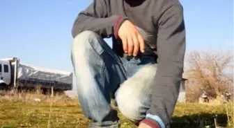 Sarıgöl'de Papatyalar Açtı