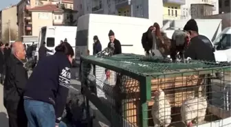 Çubuk'ta Hindi ve Kaz Satışları Arttı