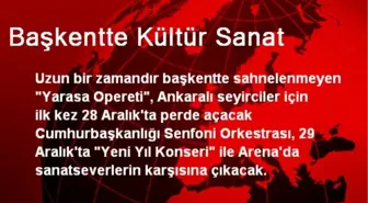 Yarasa Opereti, 28 Aralıkta Ankara'da Perde Açacak