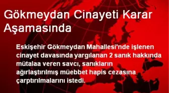 Gökmeydan Cinayeti Karar Aşamasında