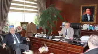 Yalova'dan Kısa Kısa