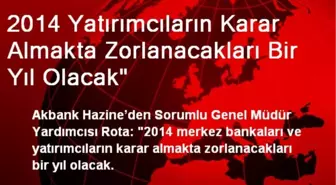 2014 Yatırımcıların Karar Almakta Zorlanacakları Bir Yıl Olacak'