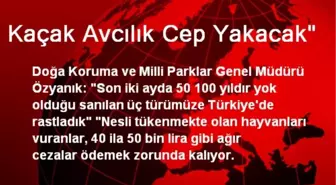 Kaçak Avcılık Cep Yakacak'