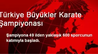 Türkiye Büyükler Karate Şampiyonası