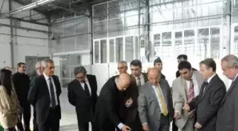 Vali Kolat, Hasandede Mezbahanesi'nde İncelemelerde Bulundu