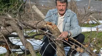 Kar Eriyince Hasar Ortaya Çıktı