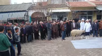 Lapseki Belediyesi Araç Filo Sayısını 20'ye Çıkarttı