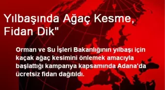 Yılbaşında Ağaç Kesme, Fidan Dik'